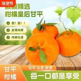 四川甘平柑橘皇后孕妇甜水果特大果新鲜整箱包邮现摘现发生鲜果子
