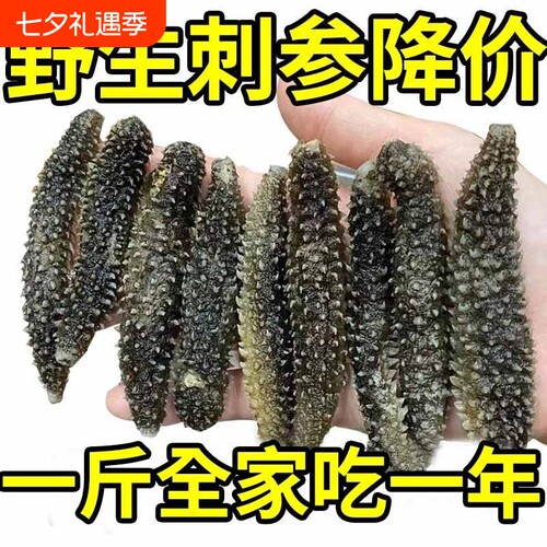 野生海参干货干散装批发正宗黑刺参特价海参一斤水产葱烧泡发
