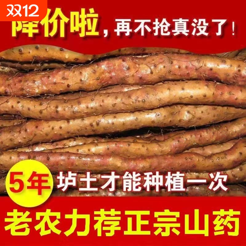 正宗铁棍山药新鲜铁杆怀山药农家山药铁棍批发中药材