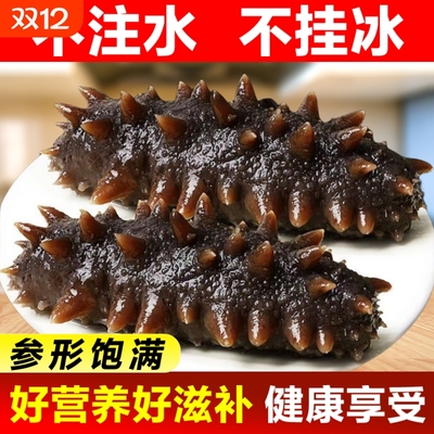 新鲜即食海参刺参野生长岛辽参500g鲜活渗干货大连礼盒水产冷冻