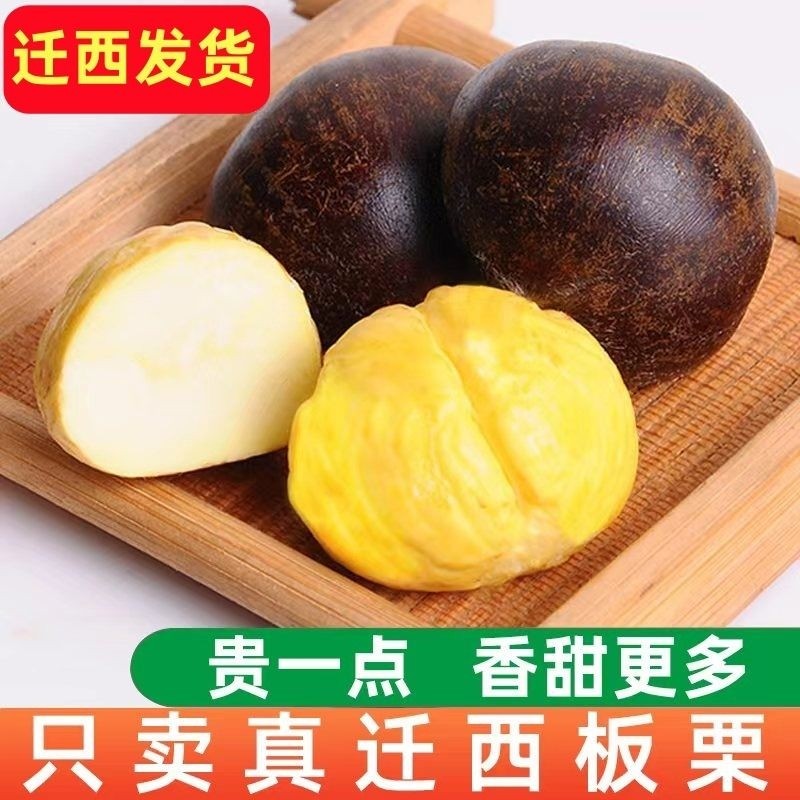 新货正宗迁西板栗生新鲜栗子生鲜迁西生栗子大油栗小毛唐山板粟