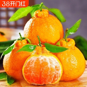 正宗四川不知火丑橘手剥榨汁甜桔子现采直发甜蜜多汁天然补维c