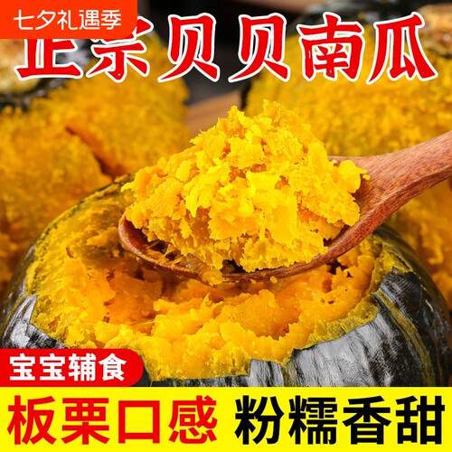 贝贝南瓜正宗板栗味真小南瓜新鲜老瓜辅食软糯粉甜山东