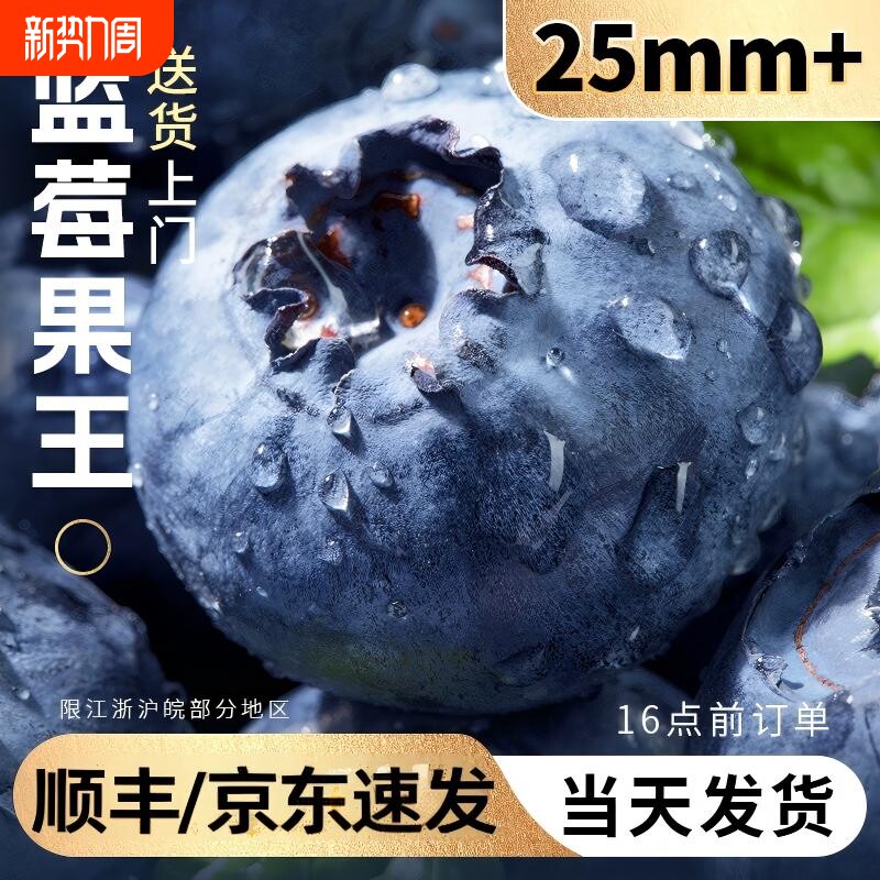云南花香蓝莓新鲜水果特大果怡颗l25高山当季产地直发顺丰空运甜