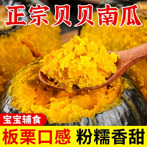 贝贝南瓜正宗板栗味真小南瓜新鲜老瓜辅食软糯粉甜山东