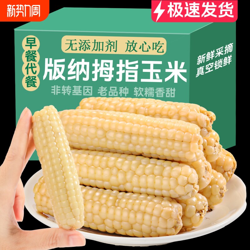 小玉米云南西双版纳儿童拇指玉米宝宝辅食新鲜手指香糯早餐香甜