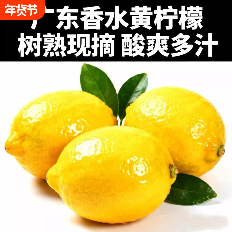 新鲜广东香水黄柠檬新鲜当季水果整箱包邮精选一级皮薄香水鲜柠檬