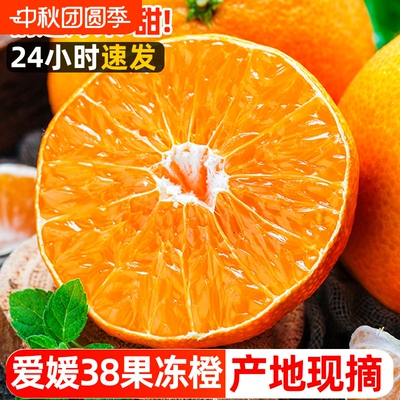 四川爱媛38号果冻橙5斤新鲜当季橙子水果柑橘蜜桔手剥橙大果包邮