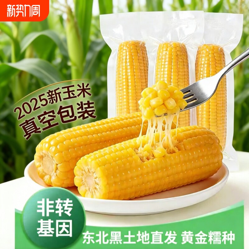 东北黄糯玉米棒真空装黄苞米现摘新鲜黏玉米粗粮代餐10棒香甜软糯