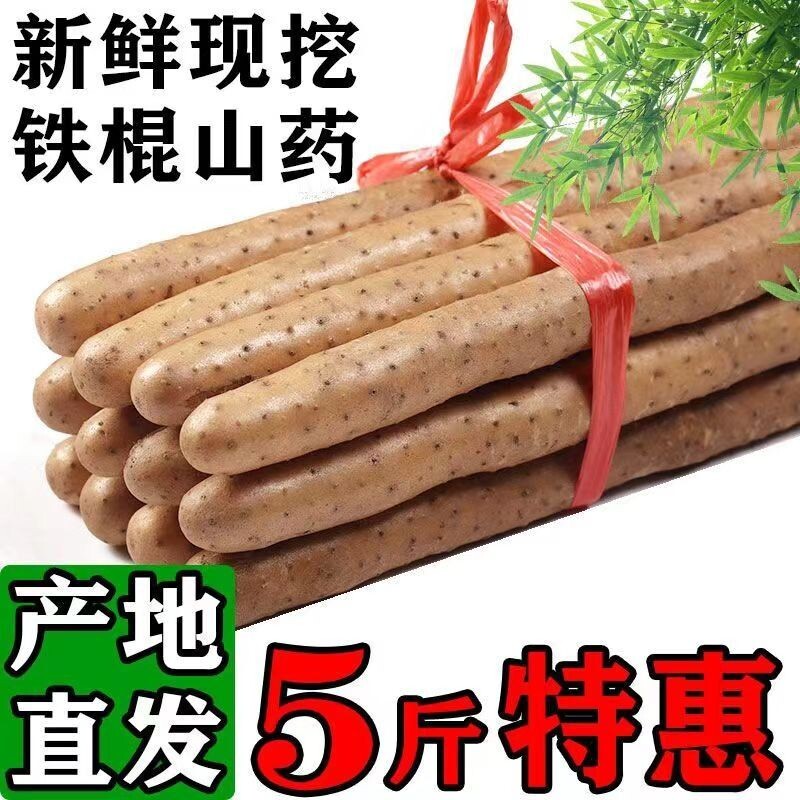 宝宝辅食正宗铁棍山药新鲜铁杆淮山现挖小白嘴山药面糯香甜年货节