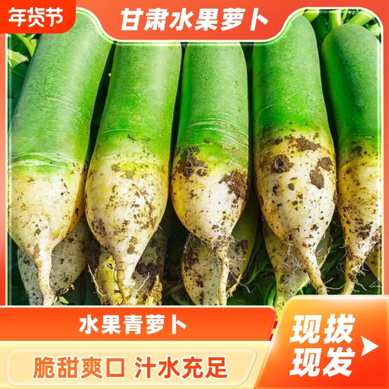 甘肃新鲜5斤水果萝卜青萝卜水果绿皮产地直发脆甜多汁萝卜,水产肉类/新鲜蔬果/熟食,萝卜/胡萝卜,淘宝优惠券,粉丝福利购,淘宝优惠卷