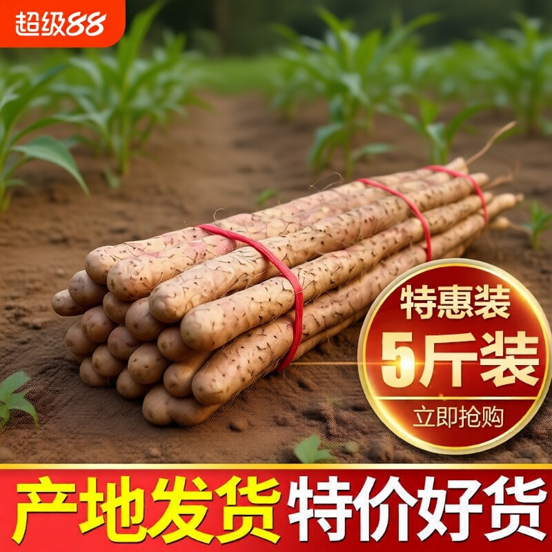 铁棍山药新鲜淮山药铁杆山药小白嘴现挖山药5斤非温县垆土怀山药