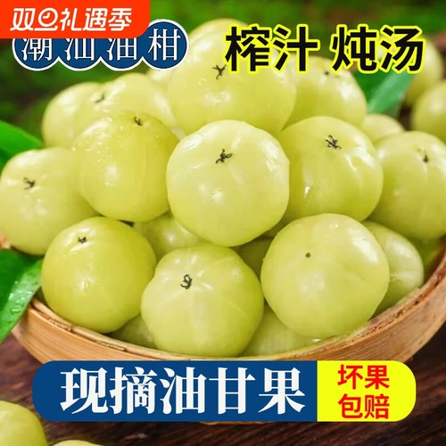 潮州高山油柑果甘甜|千人加购