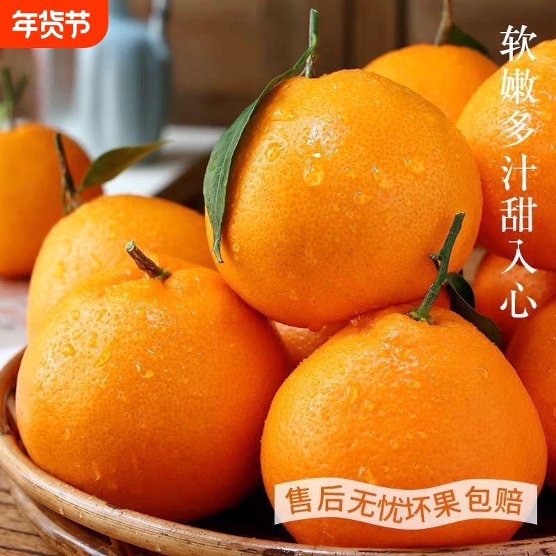正宗眉山春见耙耙柑橘子新鲜水果孕妇儿童当季水果桔子天然维c,水产肉类/新鲜蔬果/熟食,桔子,淘宝优惠券,粉丝福利购,淘宝优惠卷