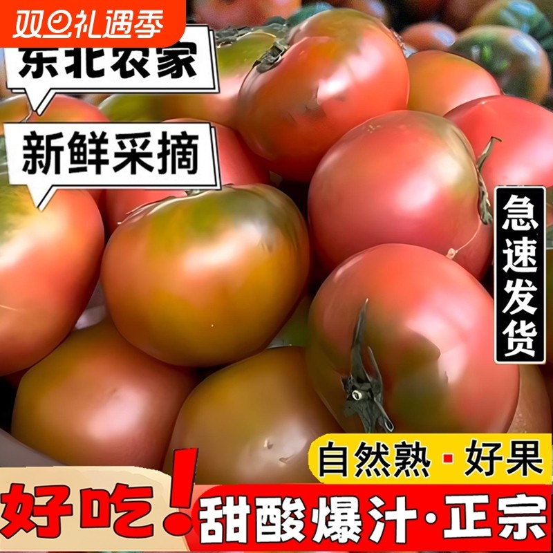 东北特产应季铁皮草莓柿子碱地新鲜水果西红柿自然熟番茄农场好吃