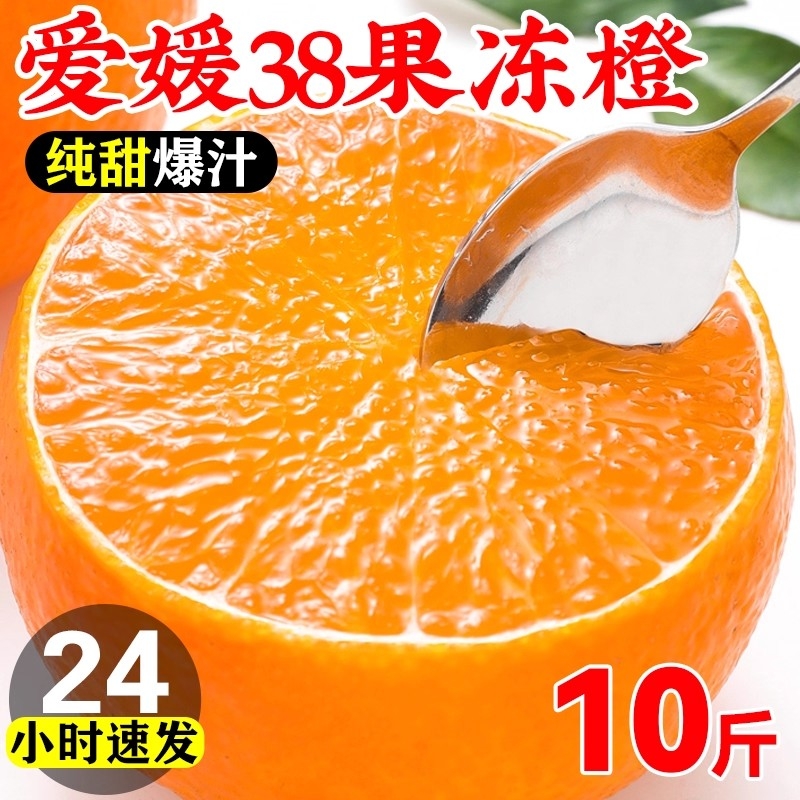 爱媛38号果冻橙10斤|千人加购