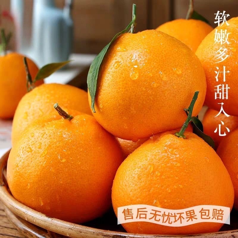 正宗眉山春见耙耙柑橘子新鲜水果孕妇儿童当季水果桔子天然维c,水产肉类/新鲜蔬果/熟食,桔子,淘宝优惠券,粉丝福利购,淘宝优惠卷