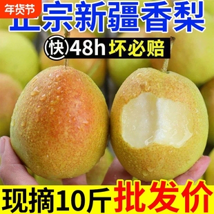 正宗新疆香梨梨新鲜水果梨子红香酥梨库尔勒杂交品种批发年货节