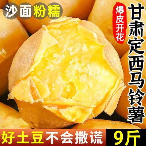 新鲜土豆甘肃黄心土豆马铃薯洋芋当季现挖土豆蔬菜批发3/5/9斤