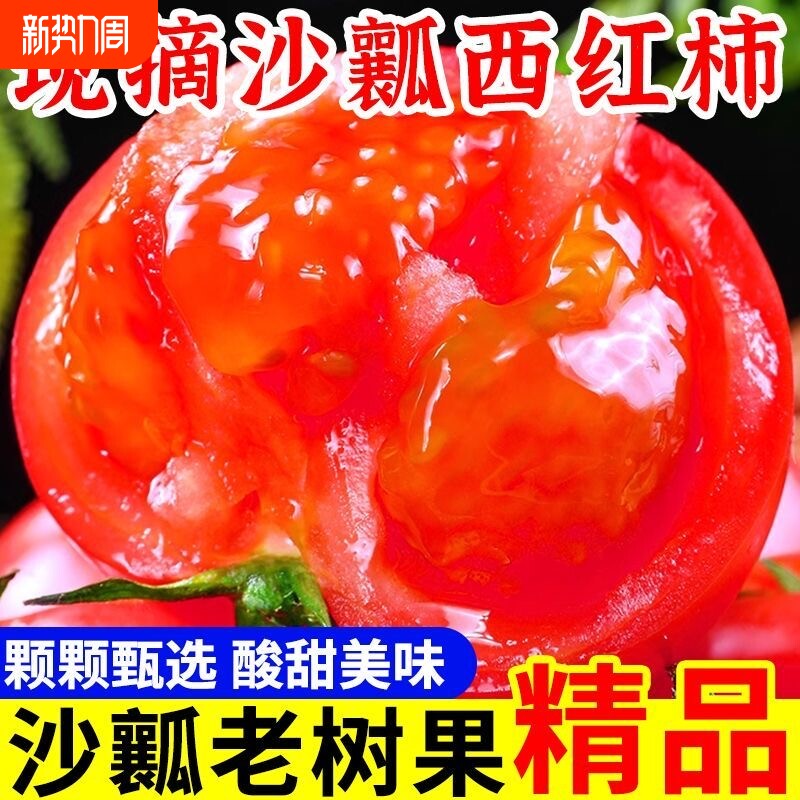 西红柿新鲜自然熟农家自种高山现摘酸甜生吃蔬菜老品种番茄