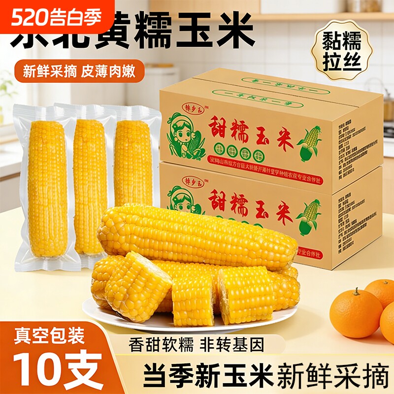 东北黄糯玉米新鲜采摘软糯香甜黄苞米主食早餐代餐低脂真空装当季
