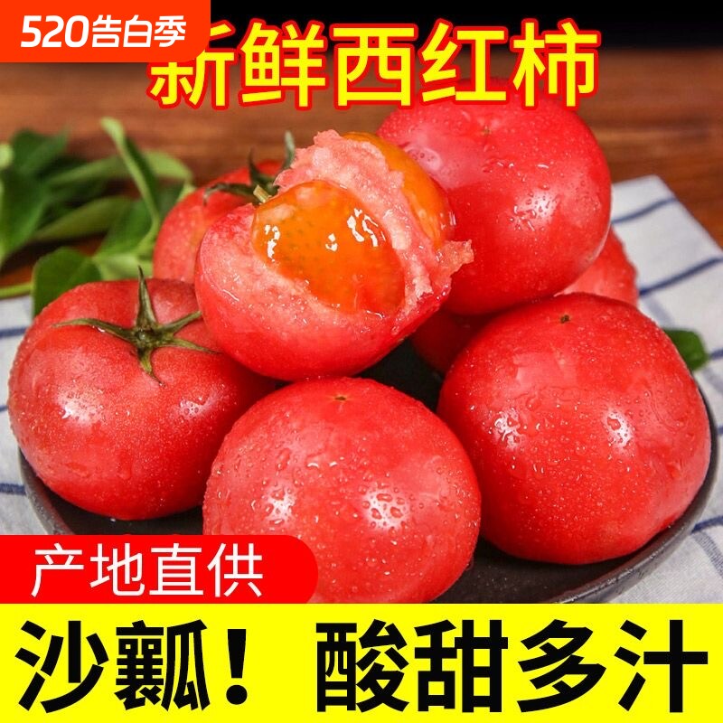 四川农家现摘沙瓤西红柿新鲜普罗旺斯生吃水果番茄5时令生鲜清甜
