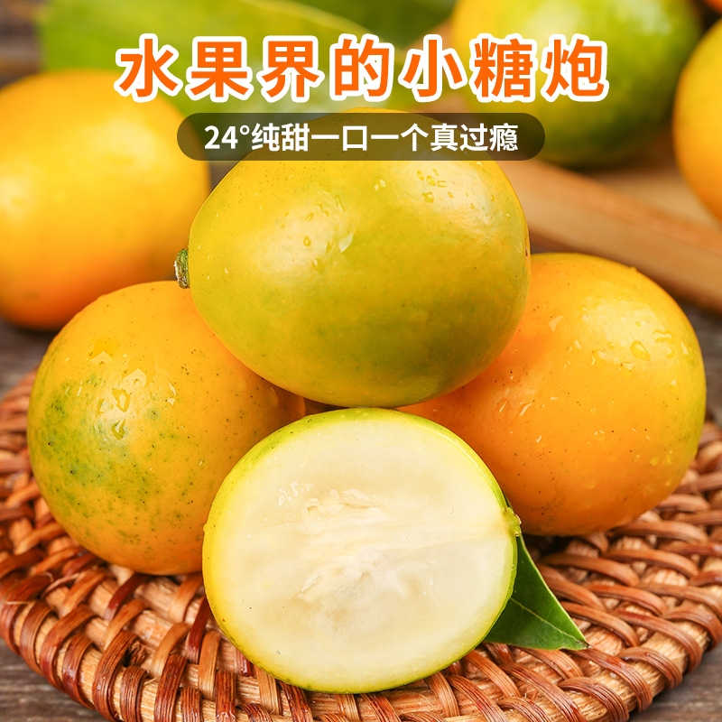 脆蜜脆皮金柑广西融安金桔新鲜水果蜜桔子现摘现发3斤5斤9斤