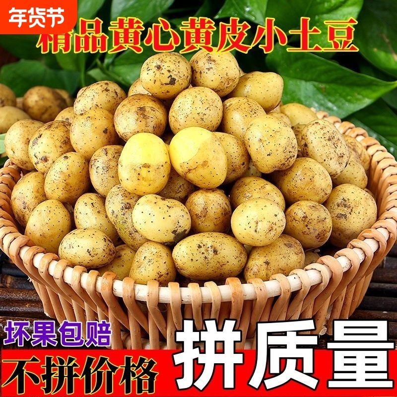 恩施小土豆包邮农家新鲜洋芋迷你黄心士豆湖北马铃薯整箱蔬菜,水产肉类/新鲜蔬果/熟食,土豆,淘宝优惠券,粉丝福利购,淘宝优惠卷