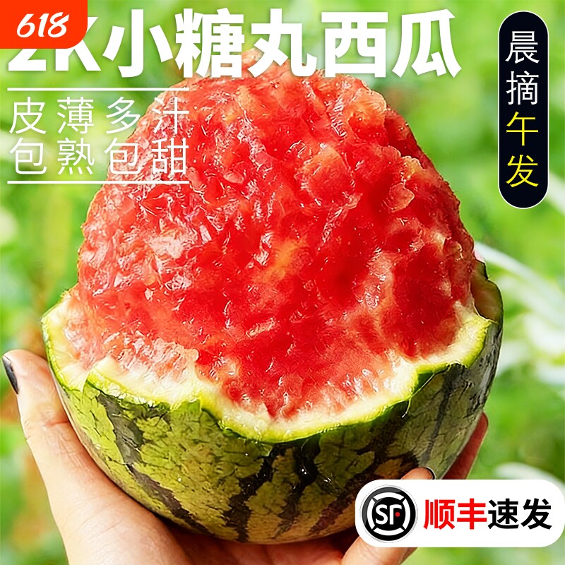 2k小西瓜新鲜网红小糖丸现摘现发脆甜多汁整箱顺丰非麒麟西瓜当季