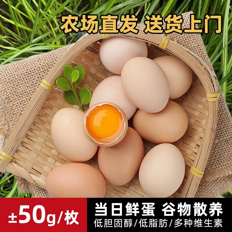 农家散养新鲜土鸡蛋50枚大别山笨鸡蛋农场现捡现发谷物蛋客服在线