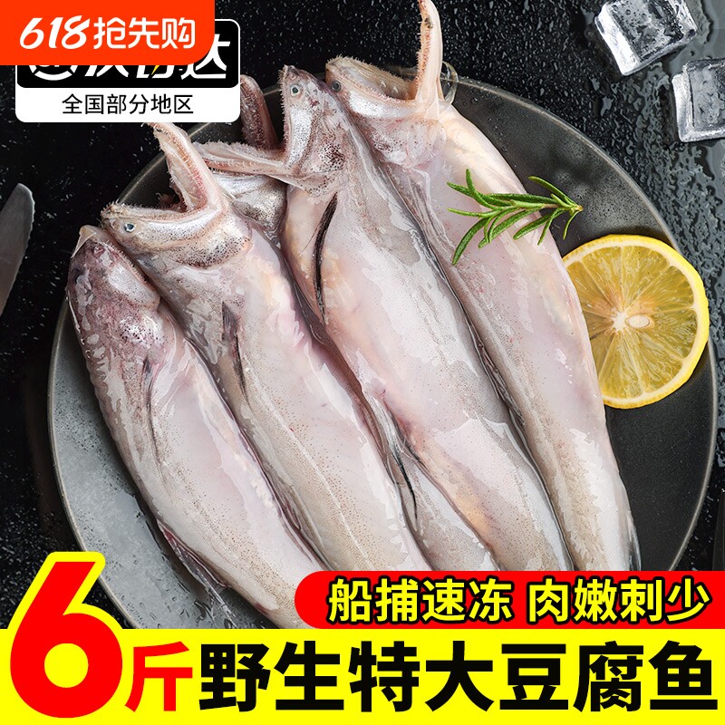 冰鲜东海龙头鱼豆腐鱼舟山特产新鲜海鲜九肚鱼生鲜水潺海鲜活冷冻