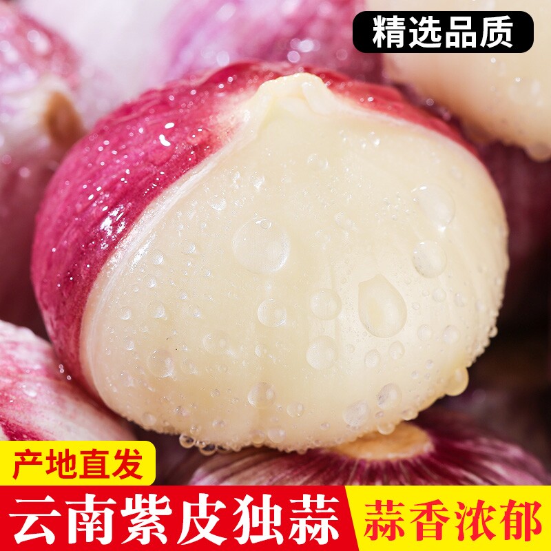 独头蒜紫皮云南大理独蒜湿蒜今年大蒜头新蒜新鲜特级蒜头干大蒜