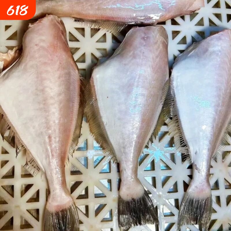 耗儿鱼冷冻马面鱼橡皮鱼特大号中号剥皮鱼小扒皮四川重庆火锅食材