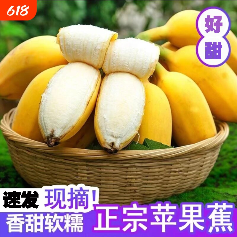 正宗广西苹果蕉大果产地直发现摘现发当季时令新鲜水果粉蕉香蕉