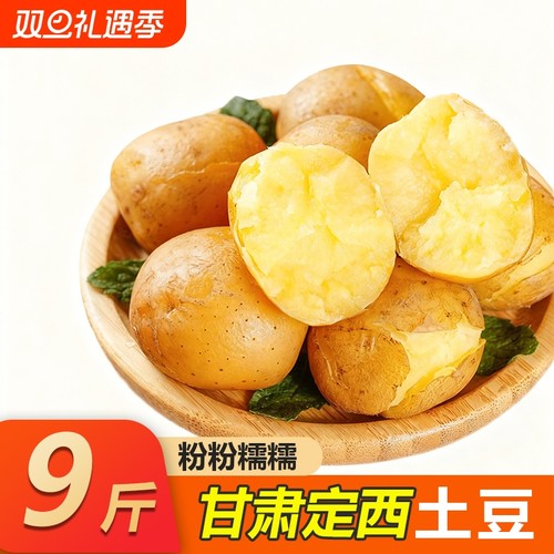 2025年甘肃沙面土豆新鲜黄皮黄心洋芋定西5斤9斤包邮马铃薯辅食
