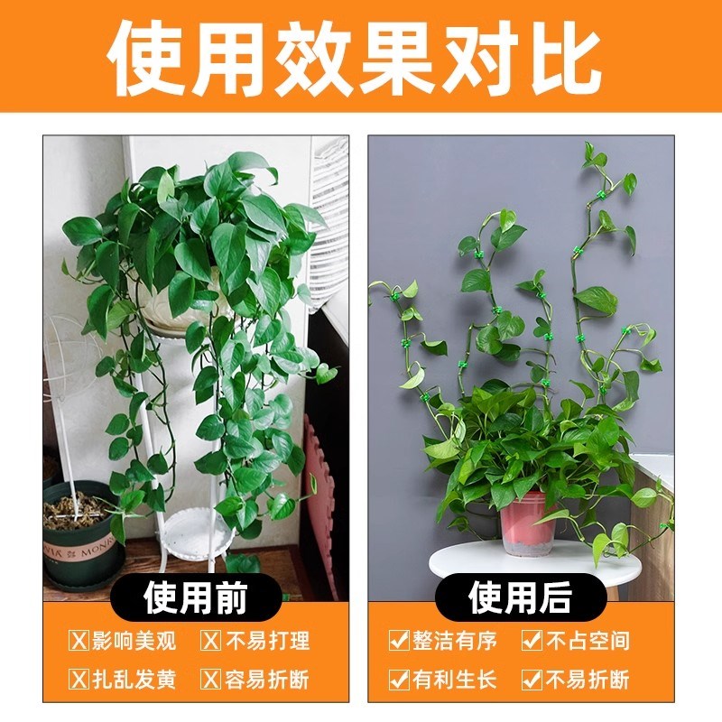 速发绿植爬藤固定器园艺花墙月季蔷爬花枝绿萝藤蔓牵引攀薇黏贴卡