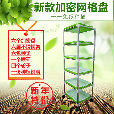 芽苗菜育苗盘小麦种植盘无土栽培设备水培蔬菜盆纸上种菜塑料托盘