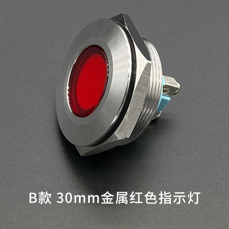 8/10/12/16/19/22/30mm金属指示灯信号灯12v24v220v防水火电源灯