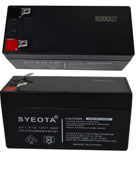 12V1.3AH电池背式直流音箱蓄电池12V1.2AH闸门机电瓶12V1.3ah电池