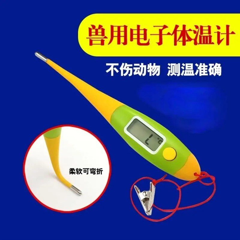 极速精品养殖场软头电子电子温度计 养殖场专用猪牛羊通用兽用防