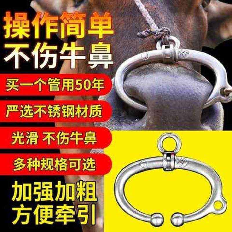 极速免打孔牛鼻环弹簧牛鼻圈养牛设备牵引牛鼻扣子不锈钢牛鼻子夹