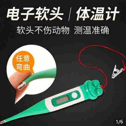 极速小鼠测温仪生物体温计大鼠测温仪动物体温计宠物肛温计