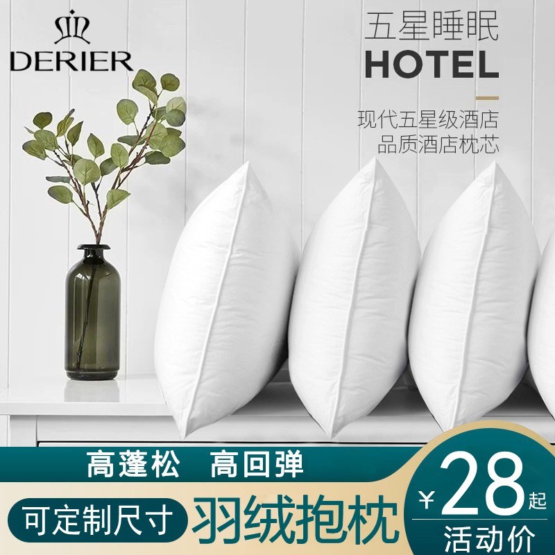 出口羽绒抱枕芯酒店沙发靠垫芯鹅毛方垫内胆靠枕芯纯棉现代可定做