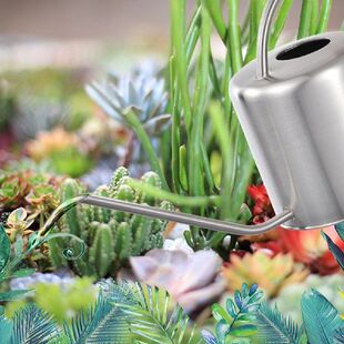 Sprinkler Stainless Steel Garden Watering Can Water Bottle