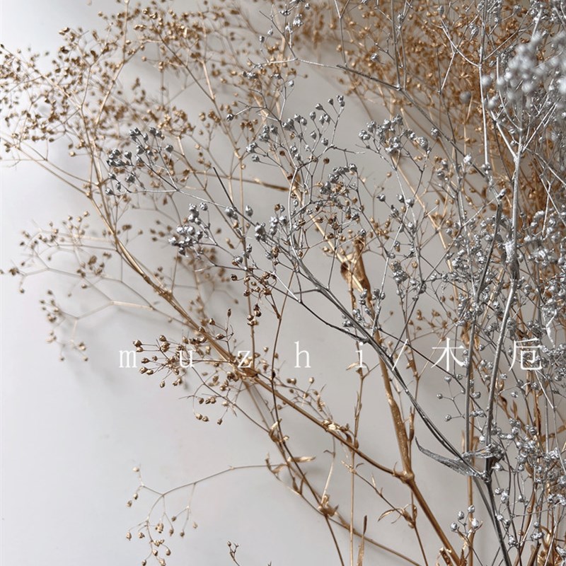 好货干花满天星 进口干花束天然真梦幻草永生花diy材料金银霞草百