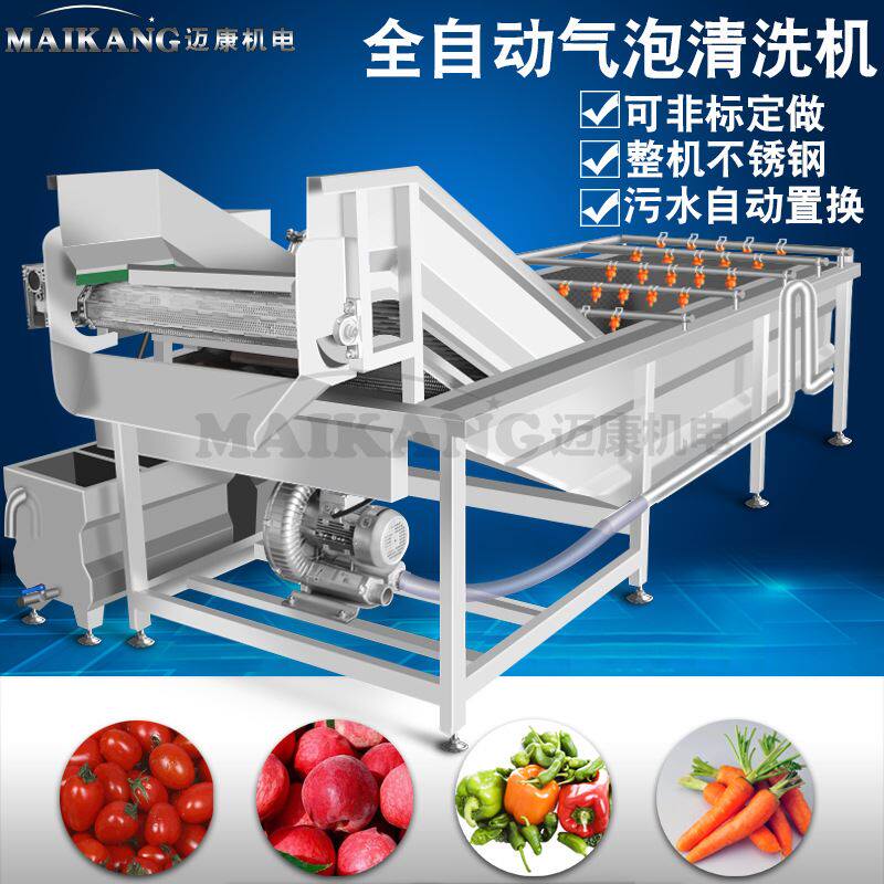 现货速发供应蔬菜清洗机 蜜饯果脯干果类水果气泡冲浪清洗机