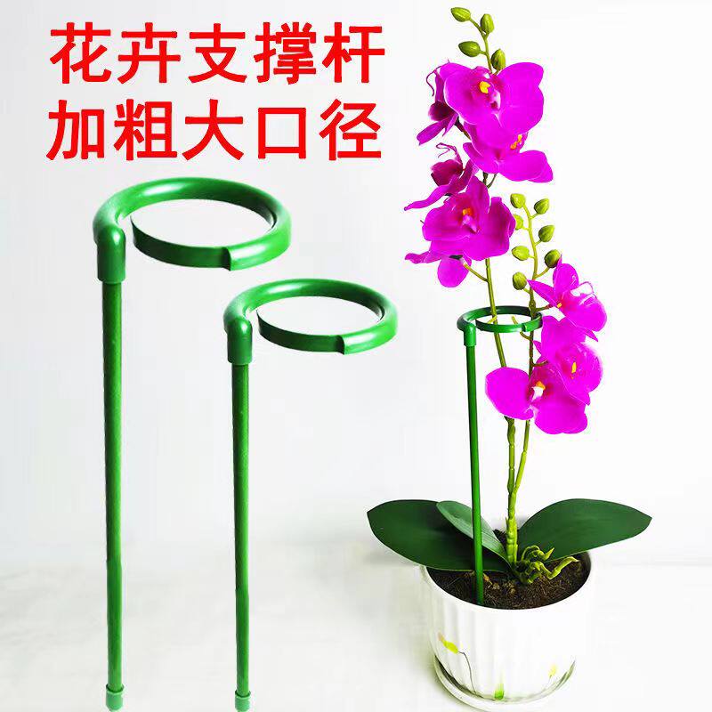 现货速发植物固定防倒伏花架子园艺支撑单杆室外花园月季爬藤绣球