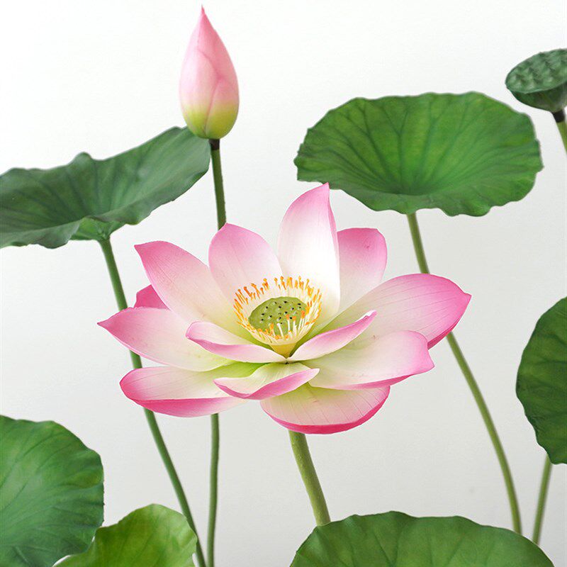 现货速发荷花花假荷叶莲花客厅塑料PU假花装饰水池摆件拍照拍摄道