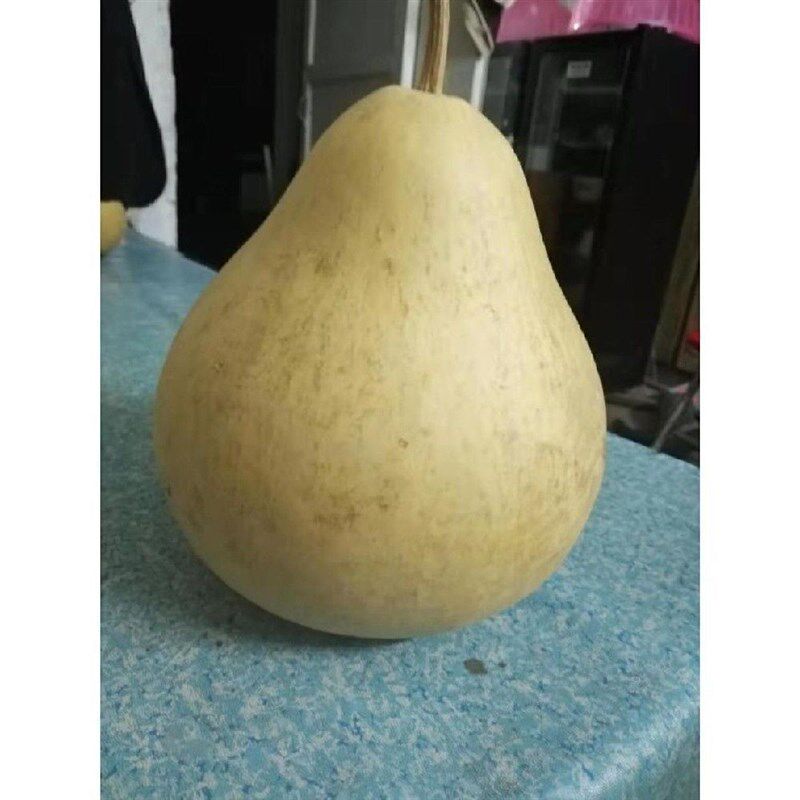 现货速发特大葫芦瓢水舀子淘米瓢脸谱滤米瓢漏粉道具挂件独把壳皮