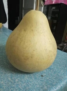 现货速发特大葫芦瓢水舀子淘米瓢脸谱滤米瓢漏粉道具挂件独把壳皮